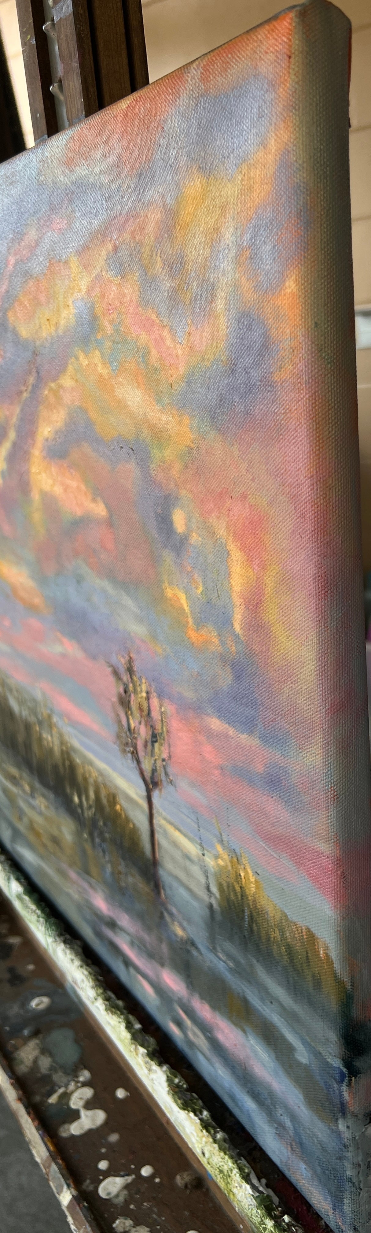 Florida Cypress Tree at Sunset - Original Wetlands oil painting 18" x 18"