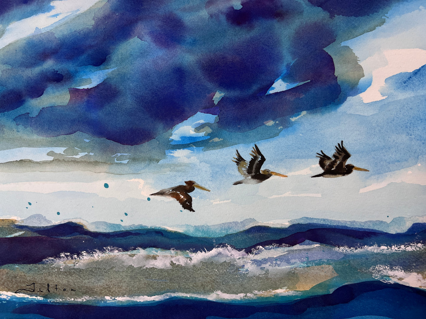Graceful Soar