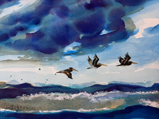 Graceful Soar