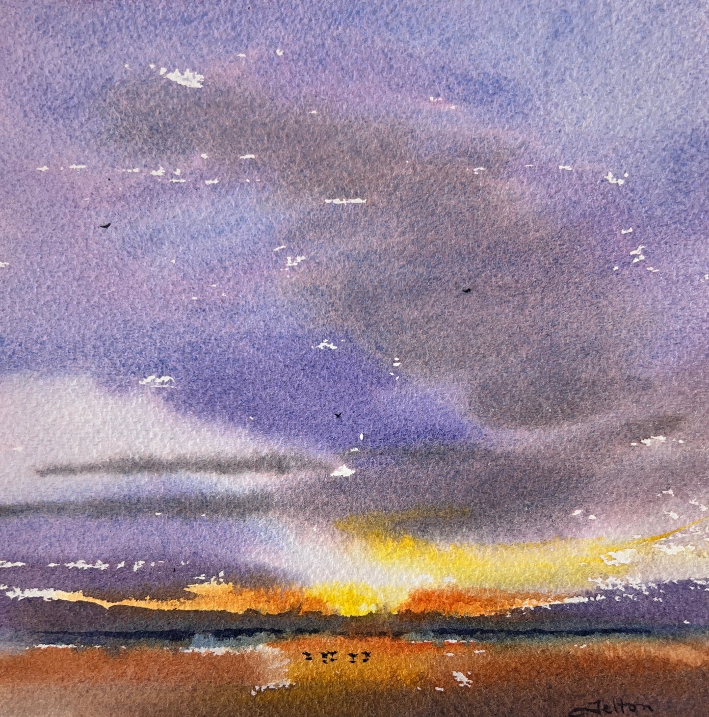 Birds at sunrise