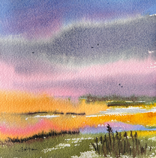 Wetlands Sky