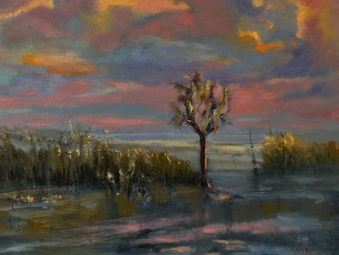 Florida Cypress Tree at Sunset - Original Wetlands oil painting 18" x 18"