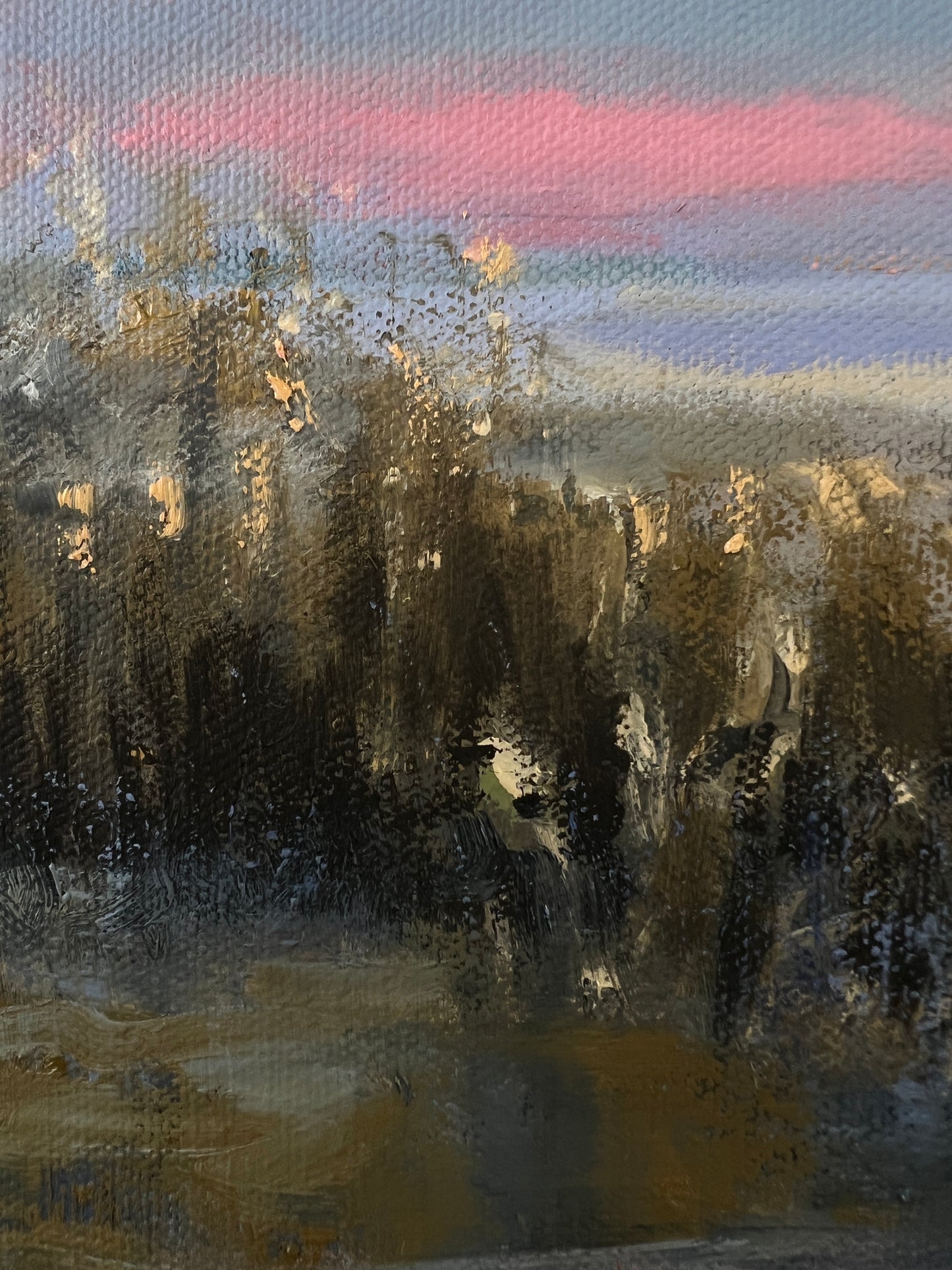 Florida Cypress Tree at Sunset - Original Wetlands oil painting 18" x 18"