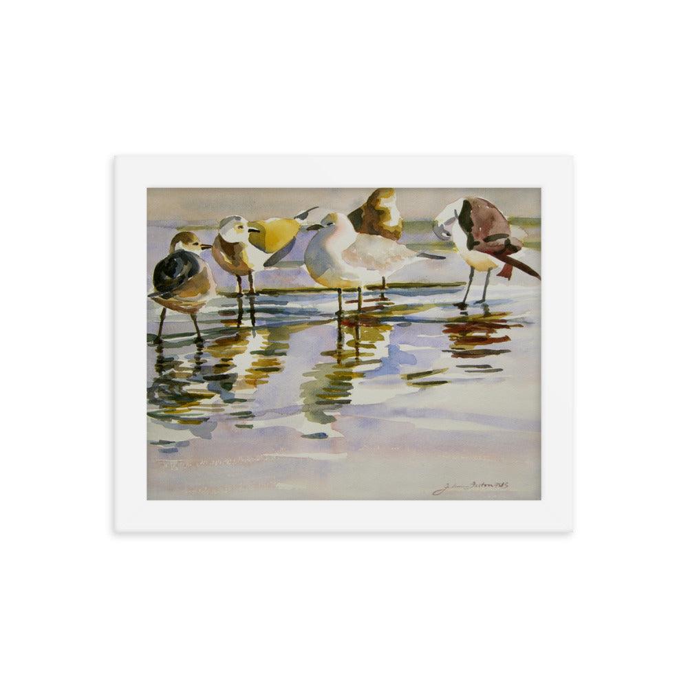 Gull Family framed watercolor print - Julianne Felton