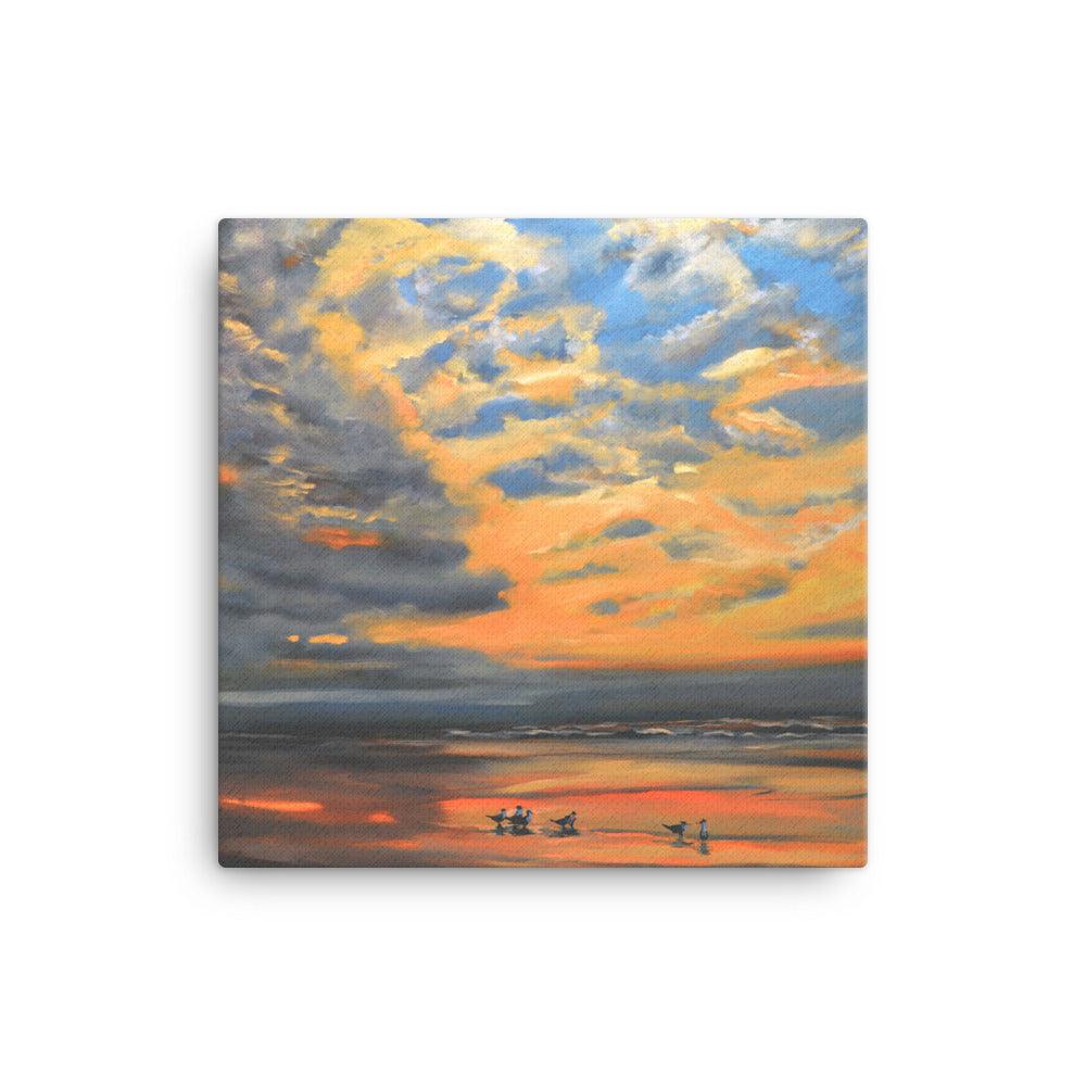 Morning with Terns Canvas Print - Julianne Felton